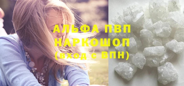 прущие грибы Белокуриха