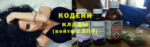 прущие грибы Белокуриха