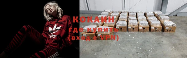 прущие грибы Белокуриха