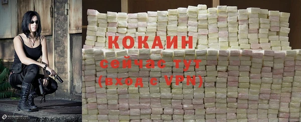 прущие грибы Белокуриха