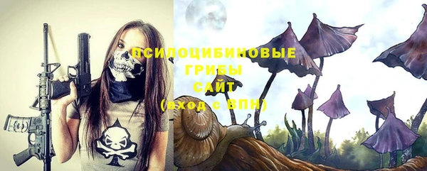 PSILOCYBIN Белоозёрский