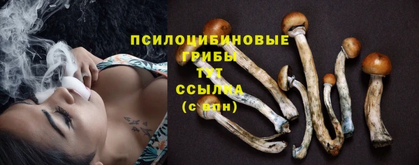 PSILOCYBIN Белоозёрский